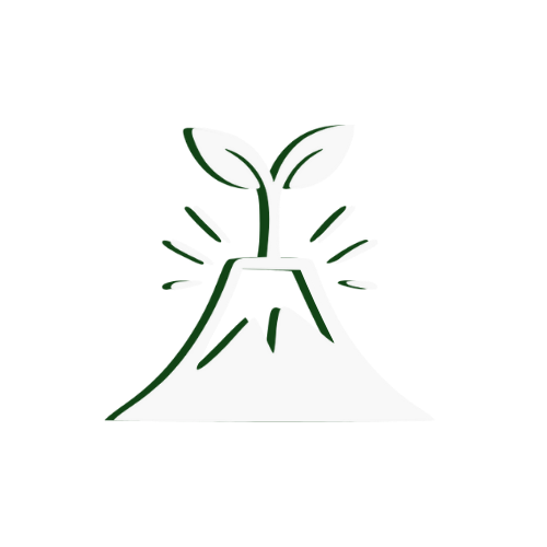 AfyaLishe