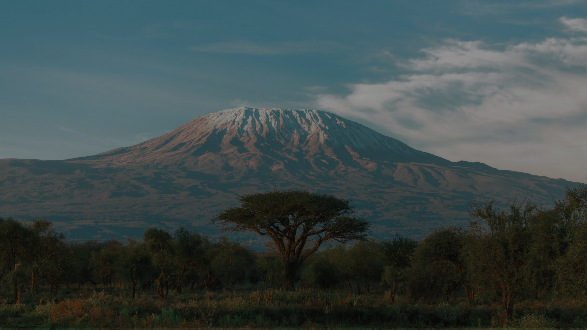 Scenic view of Mount Kilimanjaro with Afyalishe mission statement overlay – promoting natural, plant-based wellness sourced from Tanzania