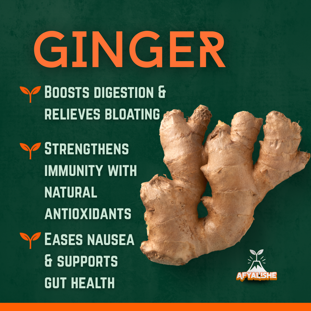 Afyalishe ginger ingredient spotlight – showing benefits like digestion support, immunity strength, and gut health
